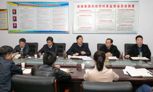 戴启远市长赴濉溪县南坪镇双堆集镇调研脱贫攻坚工作暨住村活动-陈文骁摄-004
