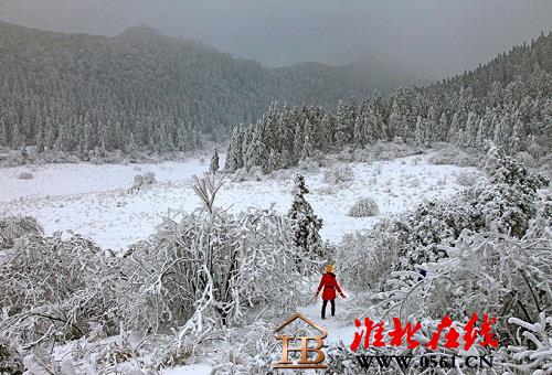图片4.jpg