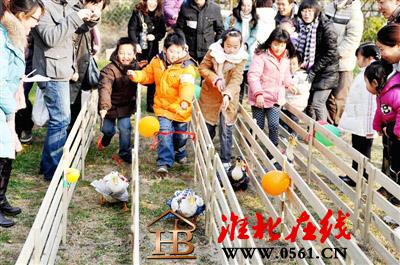 图片14.jpg