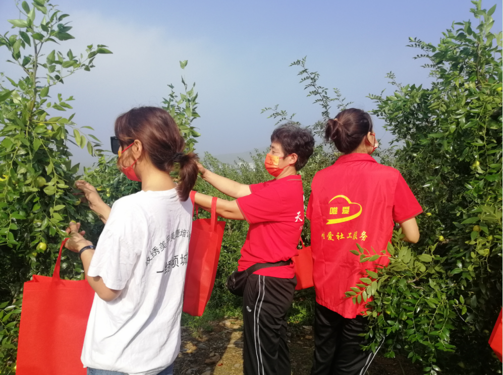 微信截图_20210911210043.png
