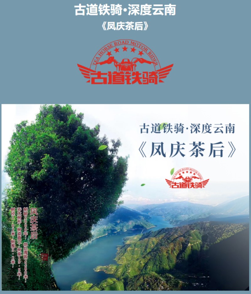 古道铁骑·深度云南-《凤庆茶后》1.jpg